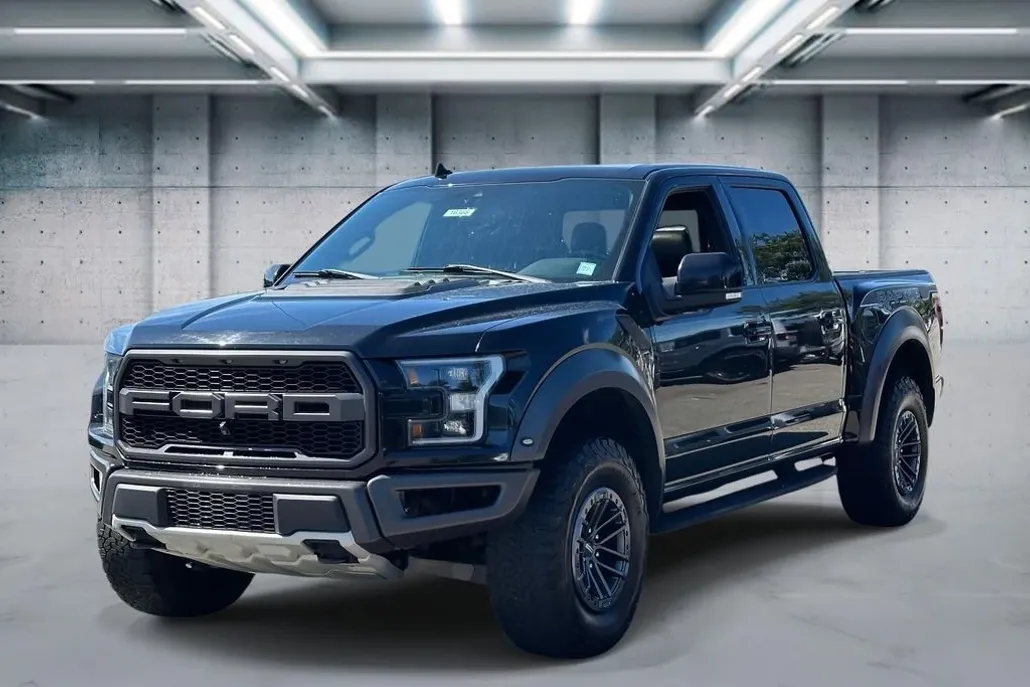 2019 Ford F-150 Raptor photo 1