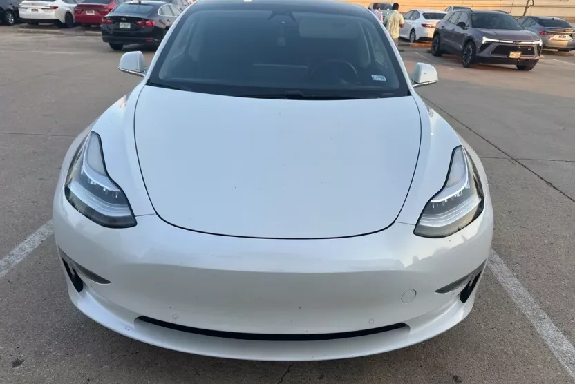 2020 Tesla Model 3 photo 1