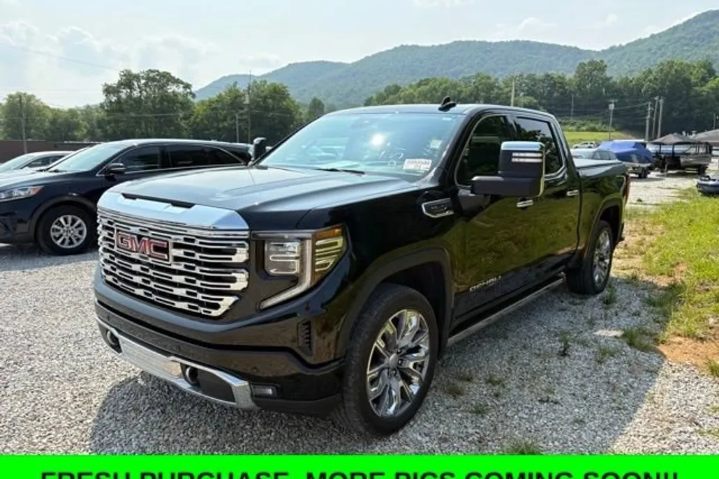 2024 Gmc Sierra 1500 Denali photo 1