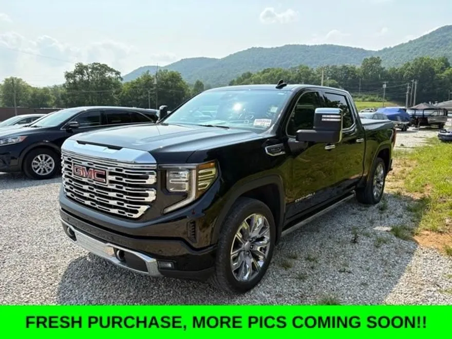 2024 Gmc Sierra 1500 Denali photo 1