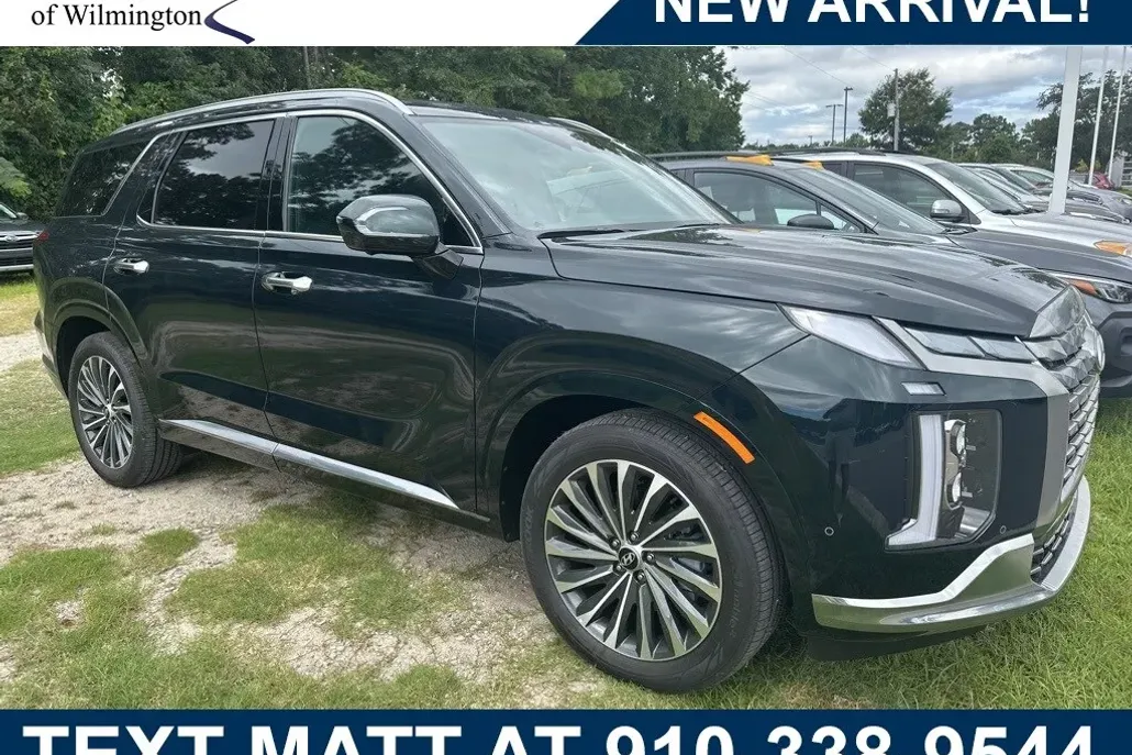 2025 Hyundai Palisade Calligraphy photo 1