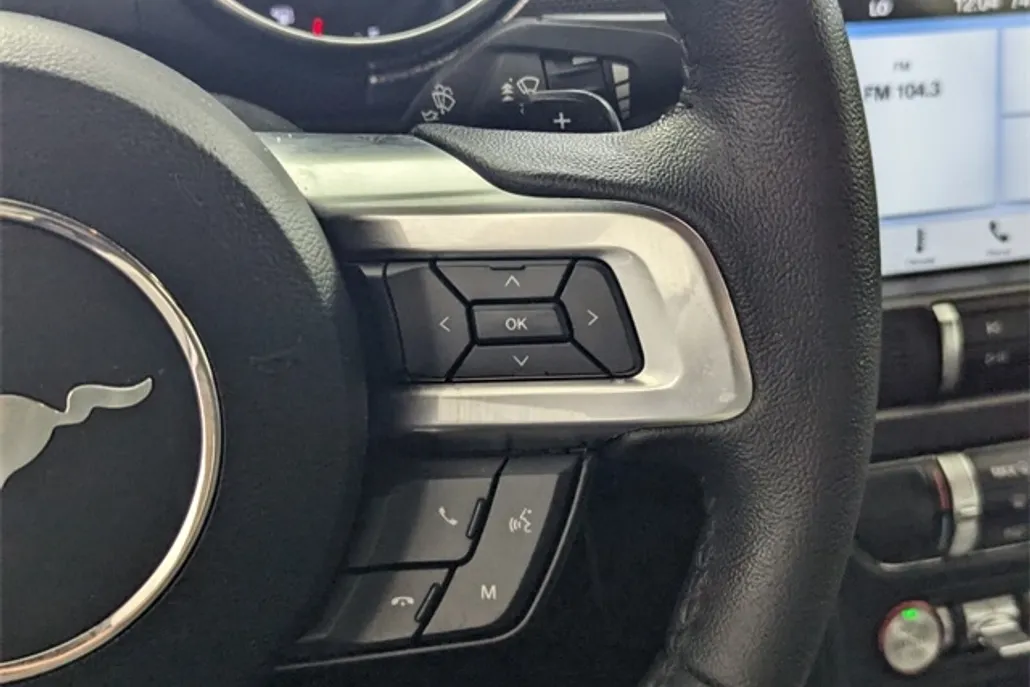 2019 Ford Mustang EcoBoost photo 1