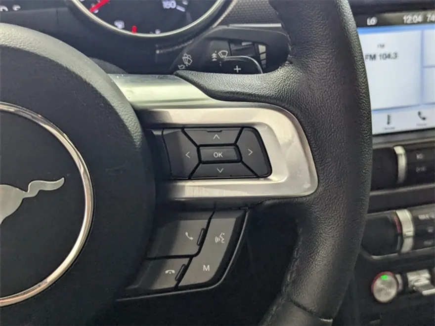 2019 Ford Mustang EcoBoost photo 1