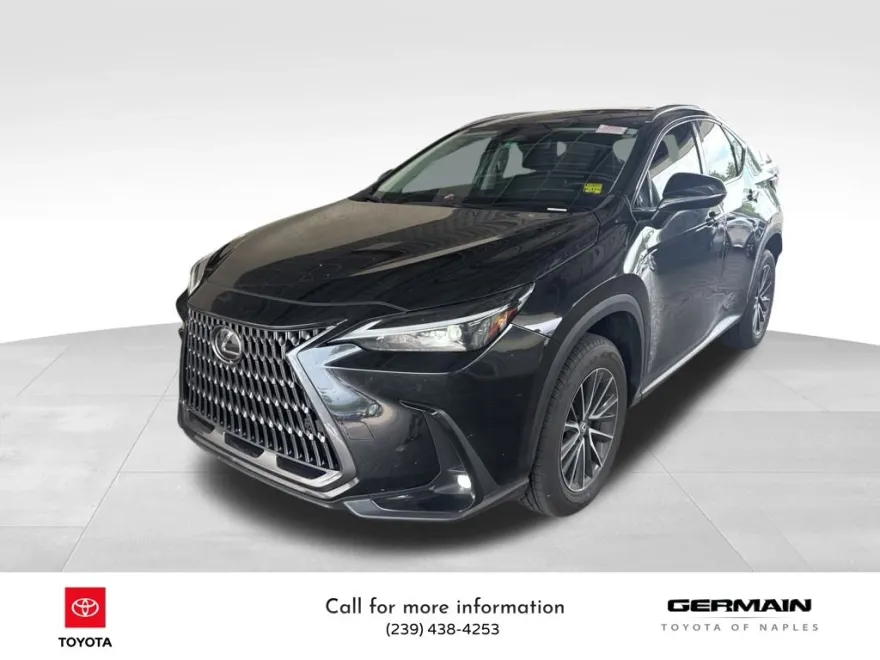 2024 Lexus NX 250 Premium photo 1