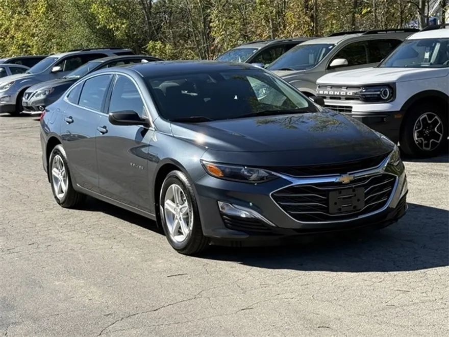 2019 Chevrolet Malibu LS photo 1