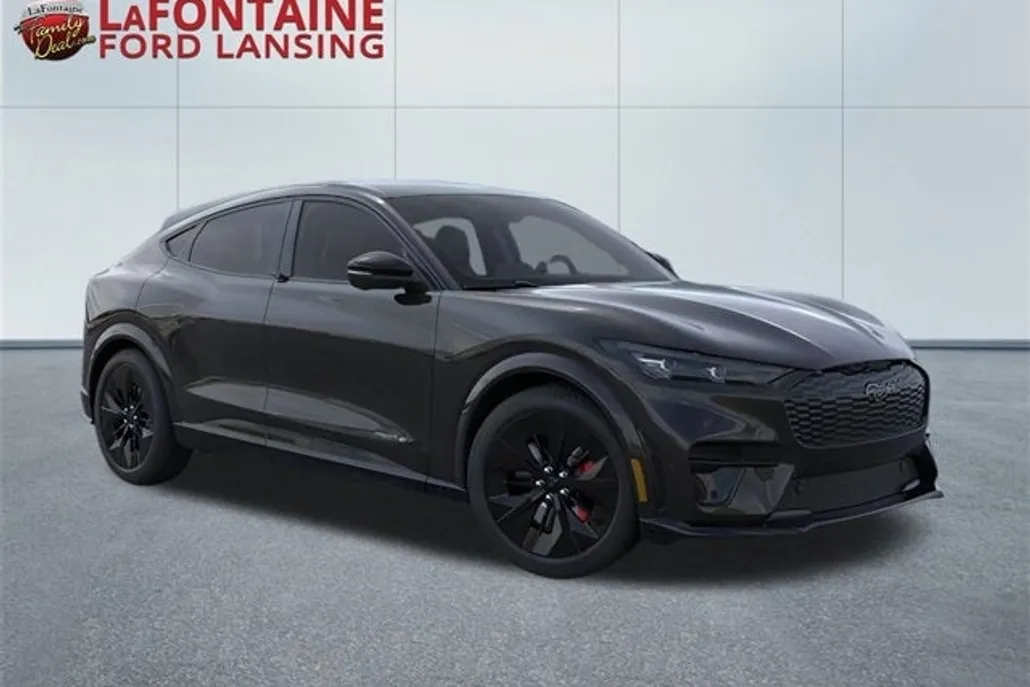 2025 Ford Mustang Mach-E GT photo 1