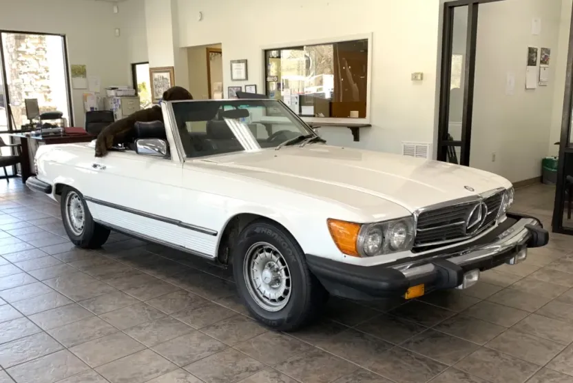 1982 Mercedes Benz 380 photo 1