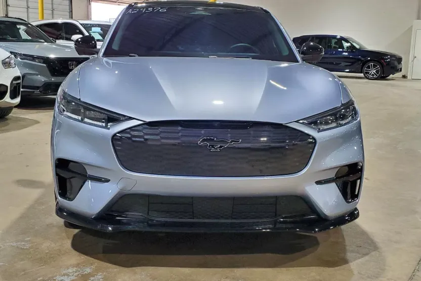 2022 Ford Mustang Mach-E GT photo 1