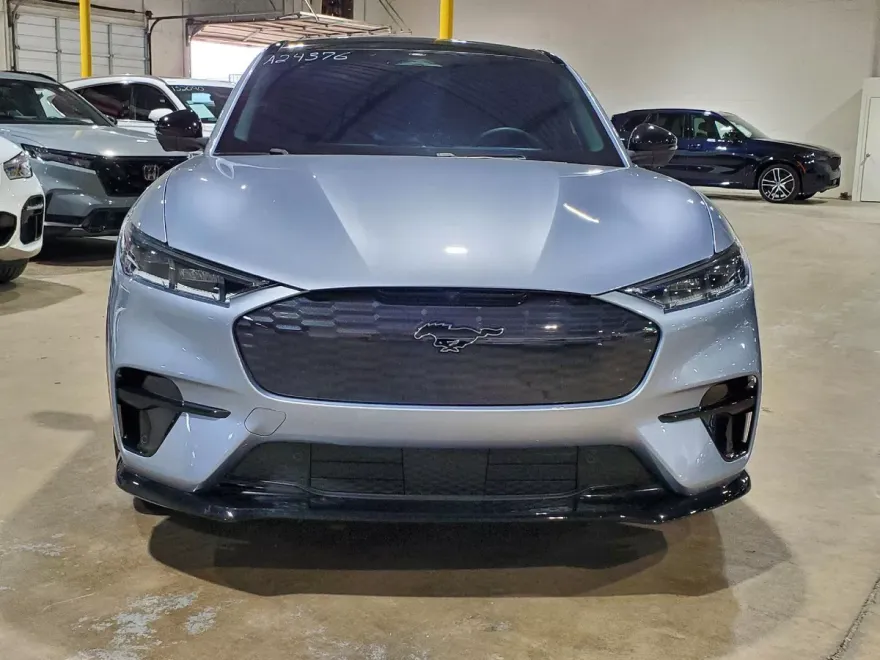 2022 Ford Mustang Mach-E GT photo 1