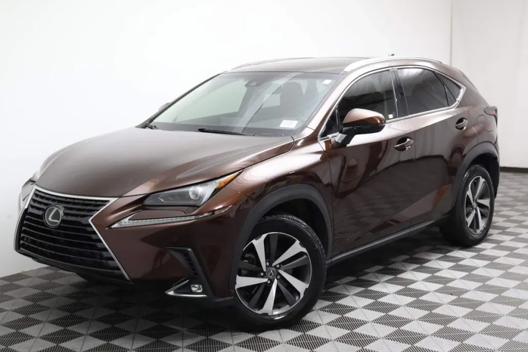 2018 Lexus NX 300 Luxury photo 1