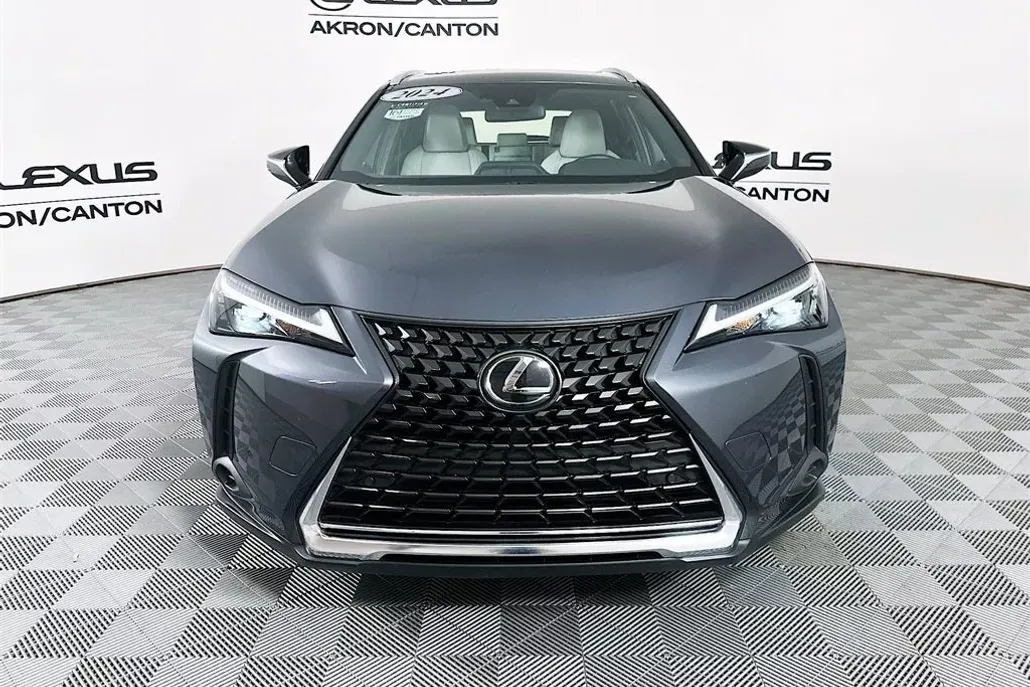 2024 Lexus UX 250h photo 1