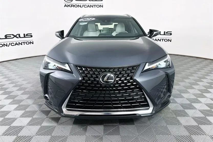 2024 Lexus UX 250h photo 1