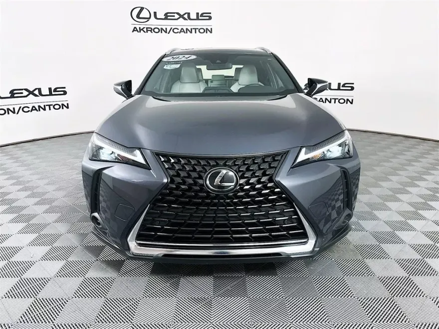 2024 Lexus UX 250h photo 1