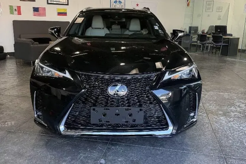 2021 Lexus UX 250h photo 1