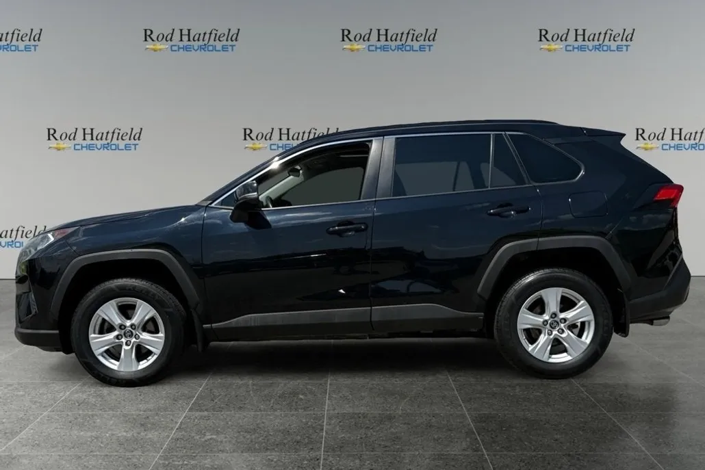 2019 Toyota RAV4 XLE photo 1