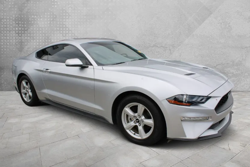 2019 Ford Mustang EcoBoost photo 1