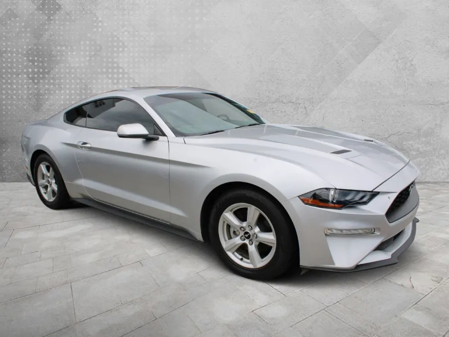 2019 Ford Mustang EcoBoost photo 1
