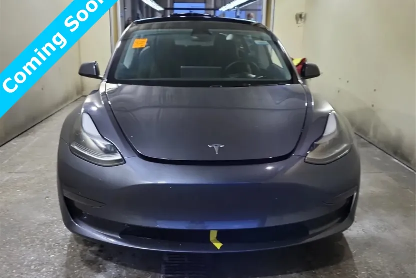 2023 Tesla Model 3 photo 1