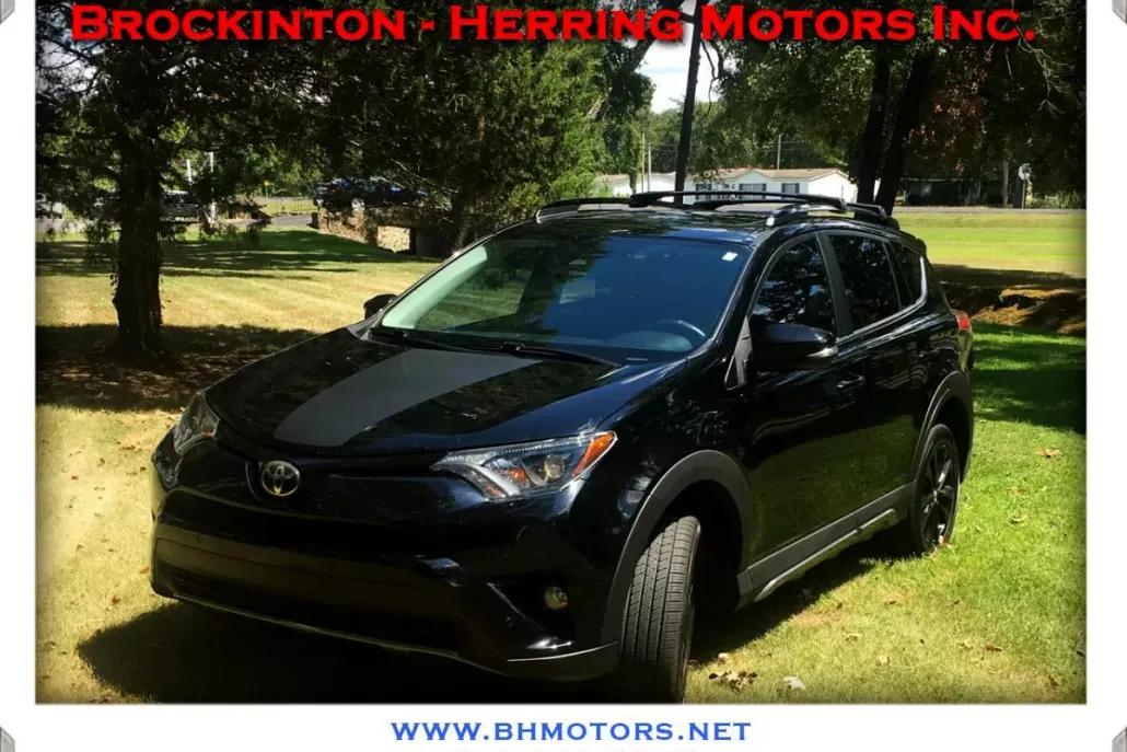 2018 Toyota RAV4 Adventure photo 1