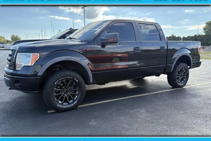2010 Ford F-150 FX4 photo 1