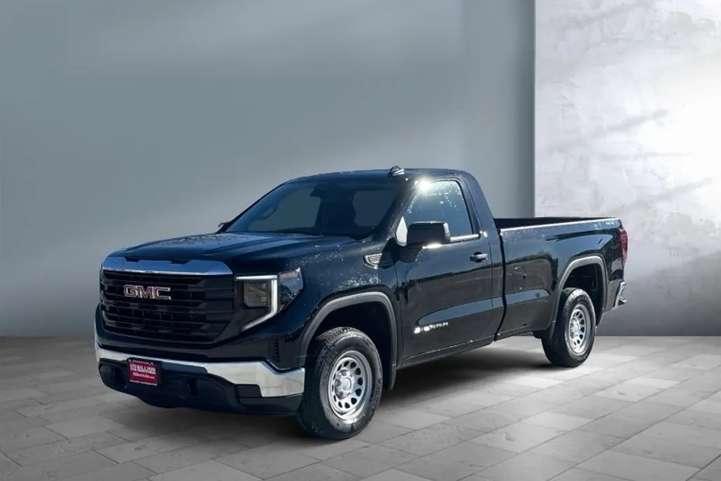 2025 Gmc Sierra 1500 Pro photo 1