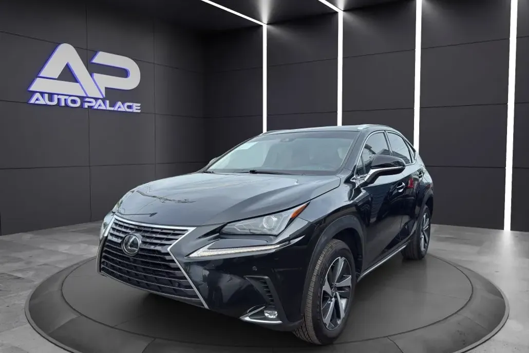 2018 Lexus NX 300 Luxury photo 1