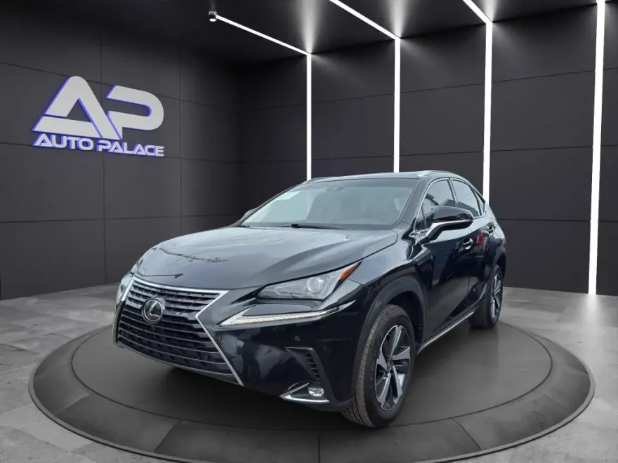 2018 Lexus NX 300 Luxury photo 1