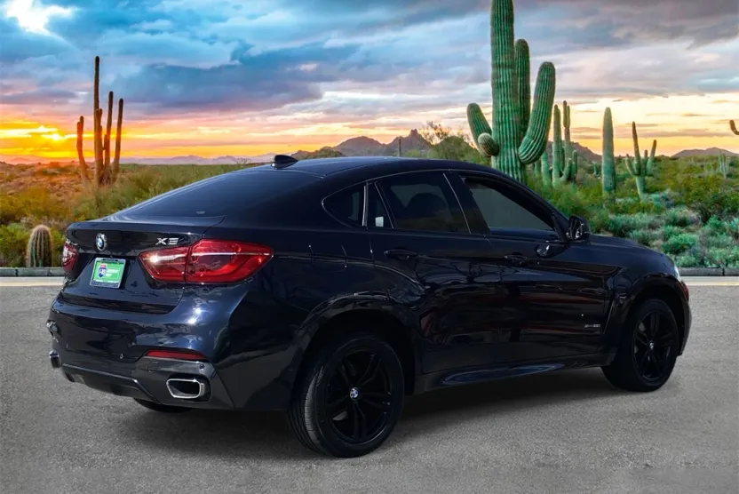 2016 Bmw X6 sDrive35i M photo 1