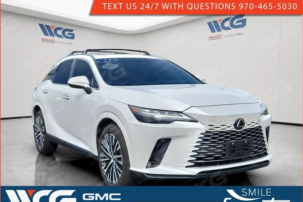 2025 Lexus RX photo 1