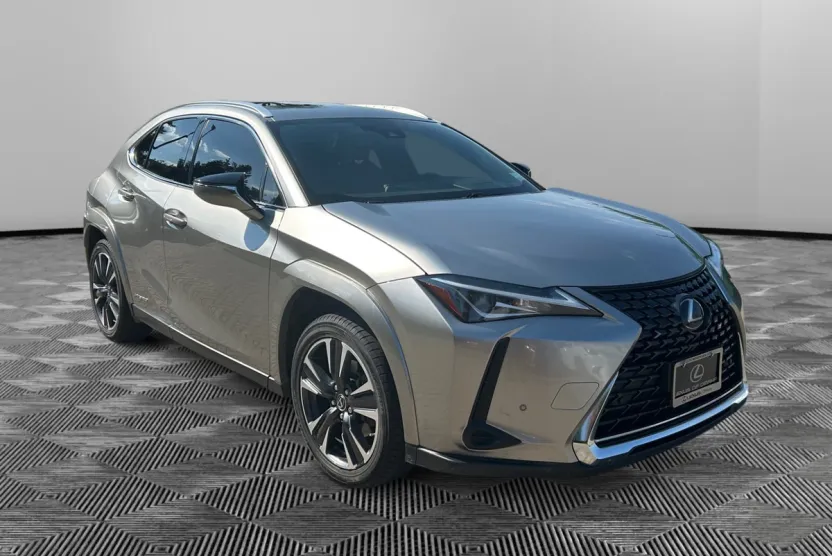 2022 Lexus UX 250h photo 1