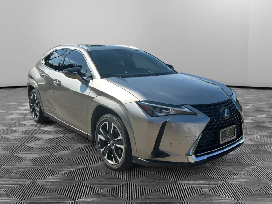 2022 Lexus UX 250h photo 1
