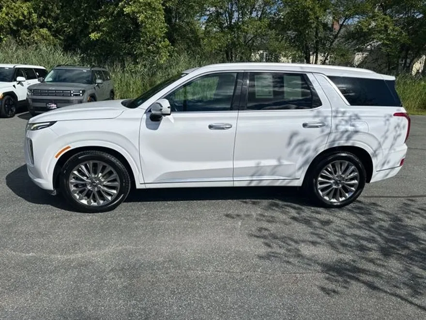 2020 Hyundai Palisade Limited photo 1