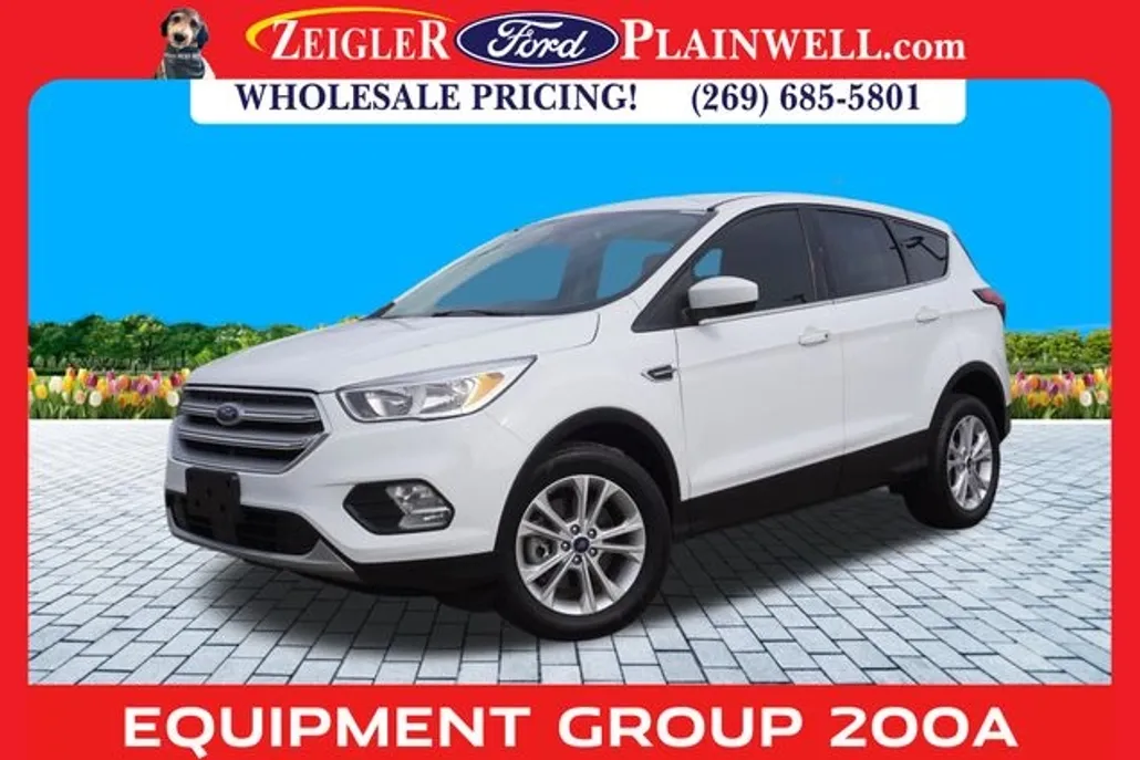 2019 Ford Escape SE photo 1