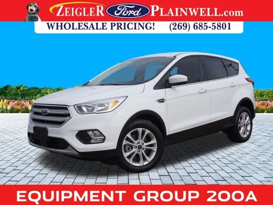 2019 Ford Escape SE photo 1