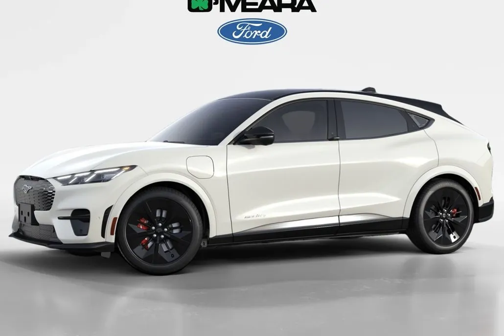 2025 Ford Mustang Mach-E GT photo 1