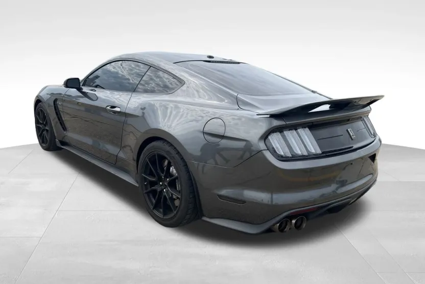 2019 Ford Mustang Shelby GT350 photo 1