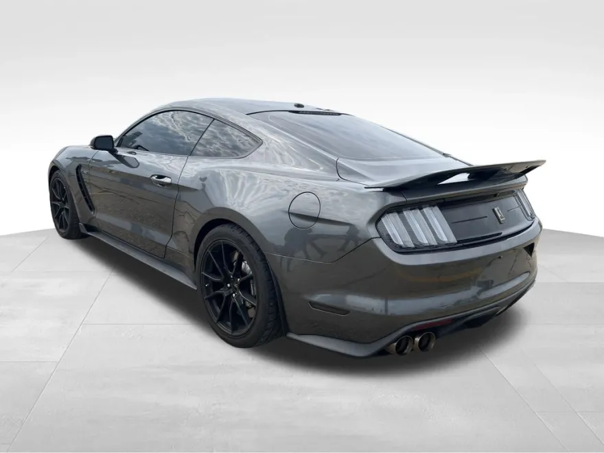 2019 Ford Mustang Shelby GT350 photo 1