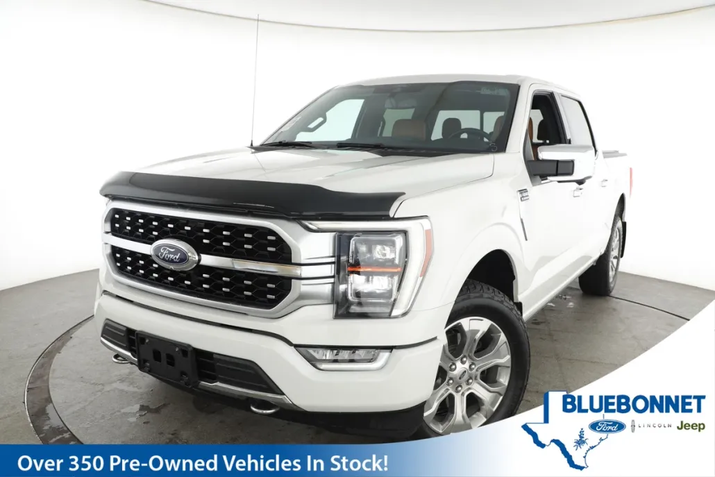 2021 Ford F-150 Platinum photo 1