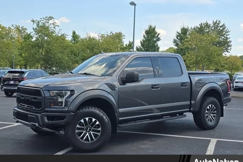 2019 Ford F-150 Raptor photo 1