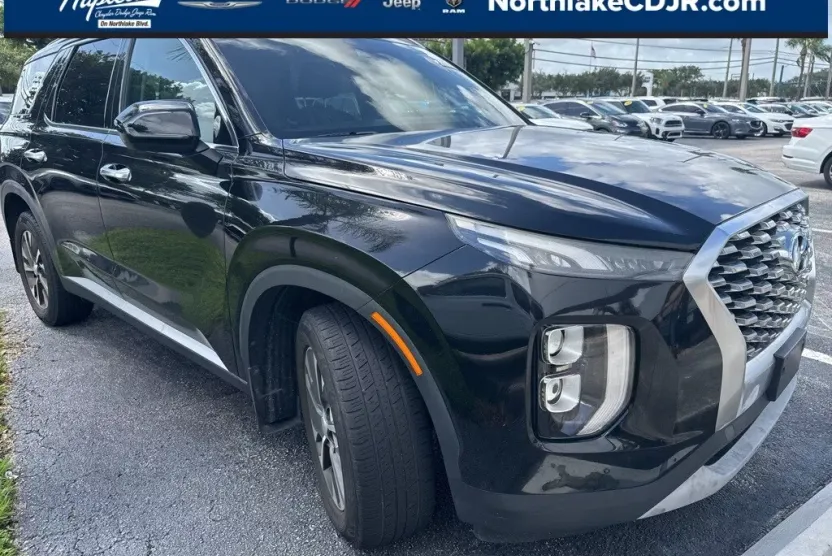 2020 Hyundai Palisade SEL photo 1
