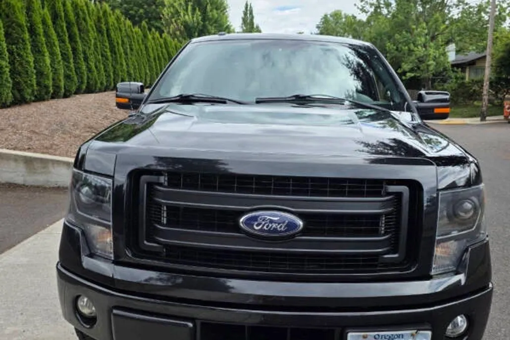 2014 Ford F-150 FX4 photo 1