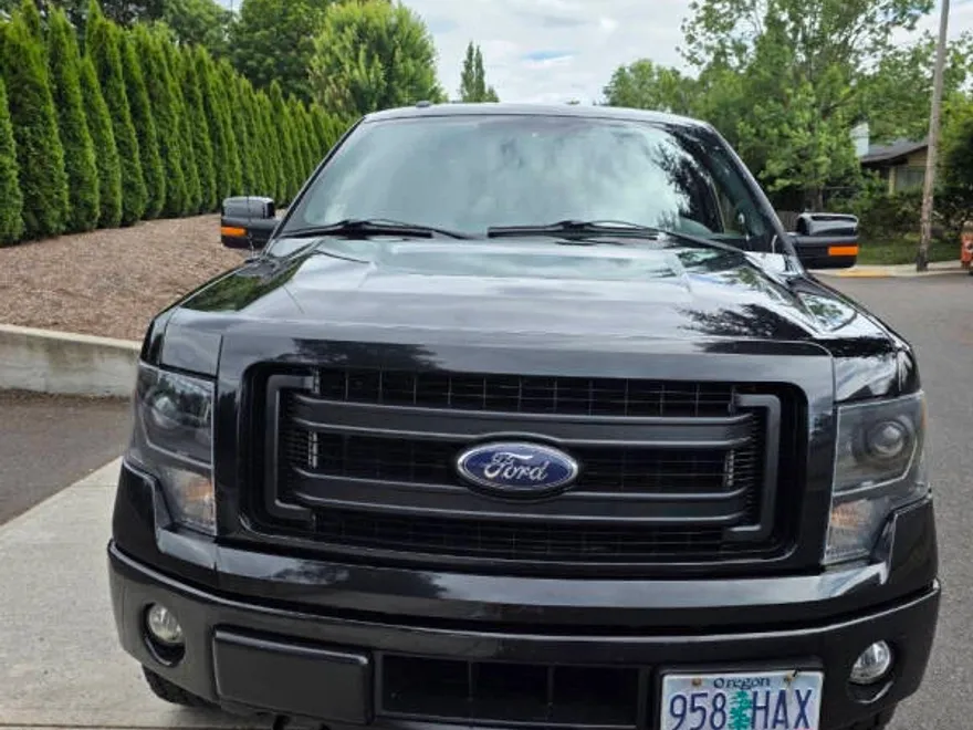 2014 Ford F-150 FX4 photo 1