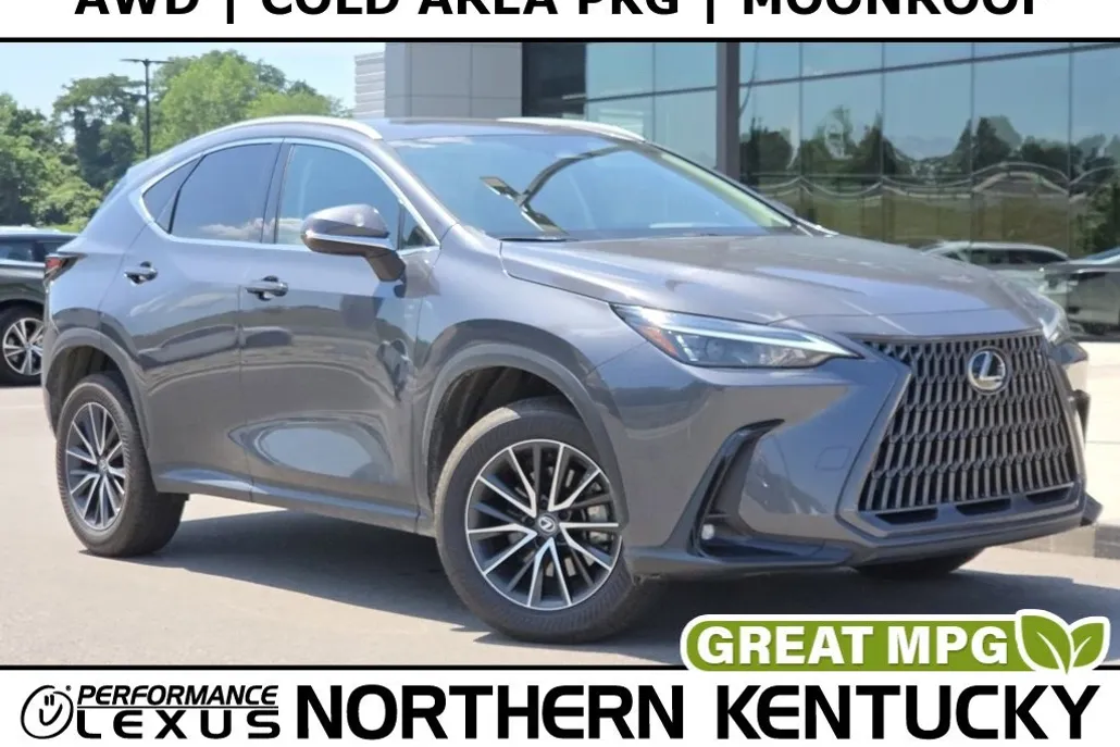 2024 Lexus NX 350h photo 1
