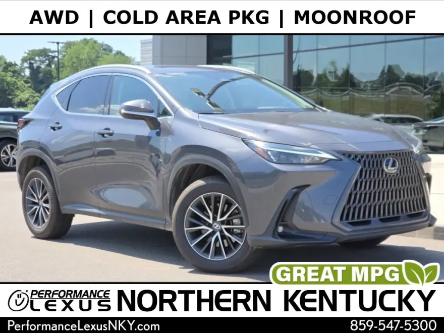 2024 Lexus NX 350h photo 1