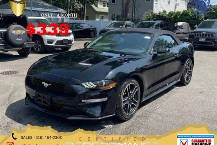 2023 Ford Mustang EcoBoost Premium photo 1