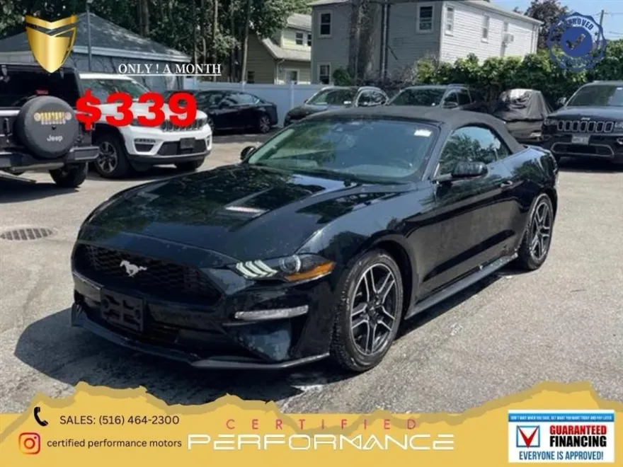 2023 Ford Mustang EcoBoost Premium photo 1