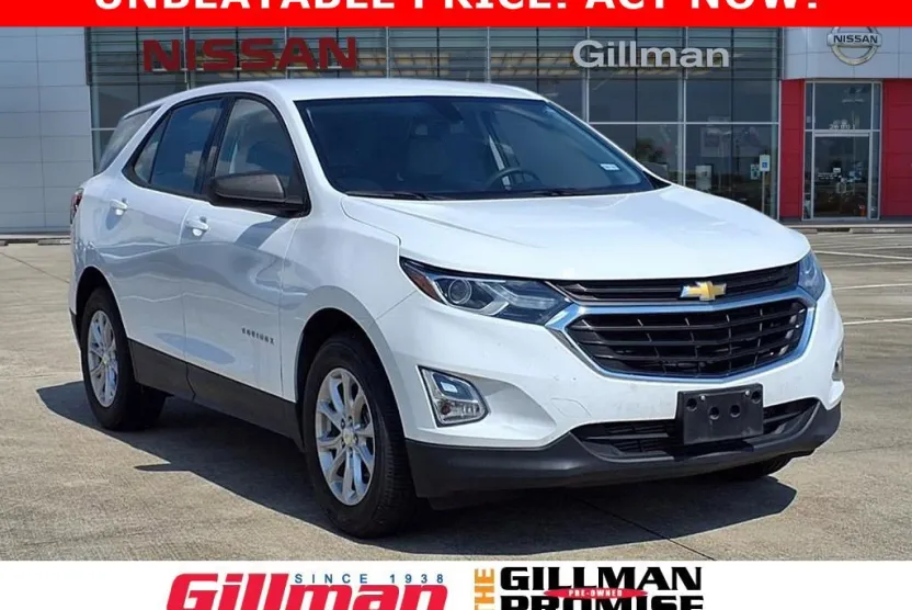 2019 Chevrolet Equinox LS photo 1