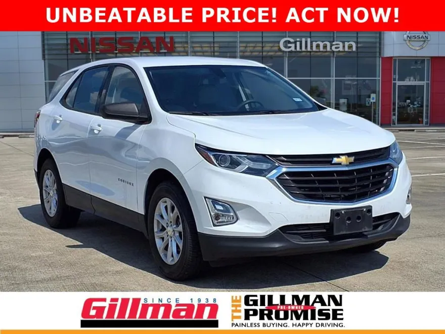 2019 Chevrolet Equinox LS photo 1
