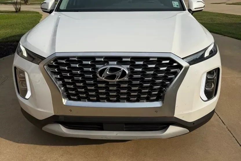 2020 Hyundai Palisade SEL photo 1