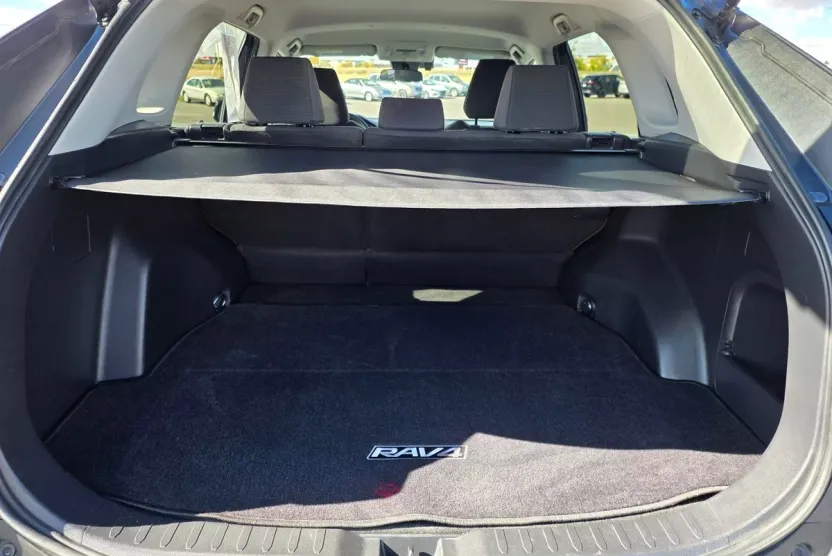 2019 Toyota RAV4 Hybrid LE photo 1